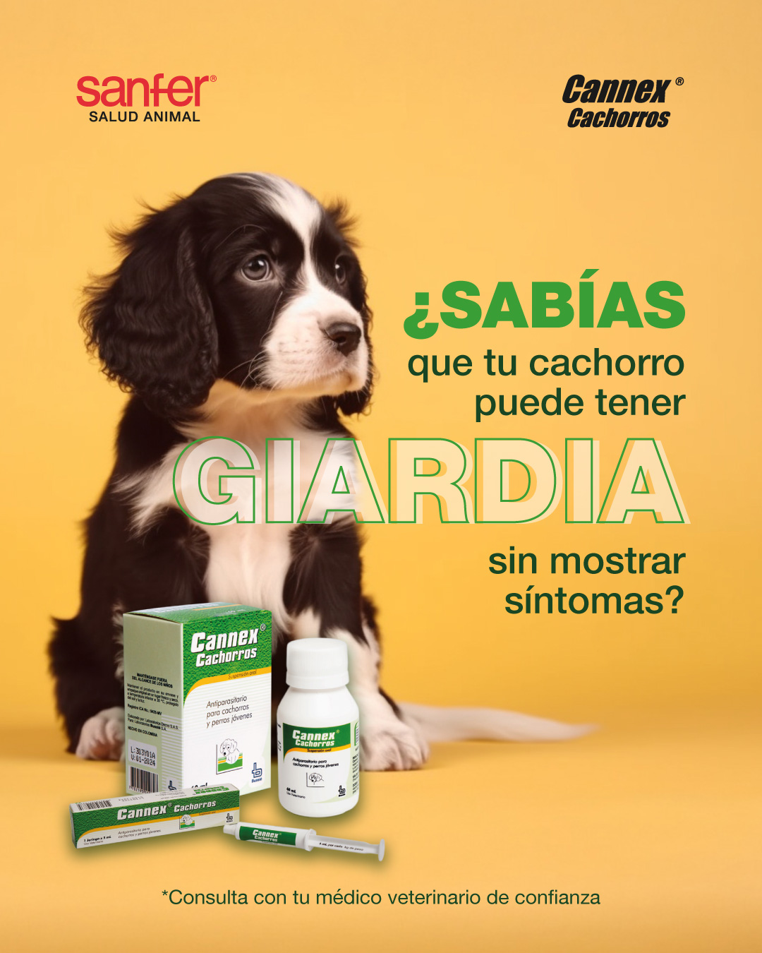 Sanfer Salud Animal Colombia | Bogotá