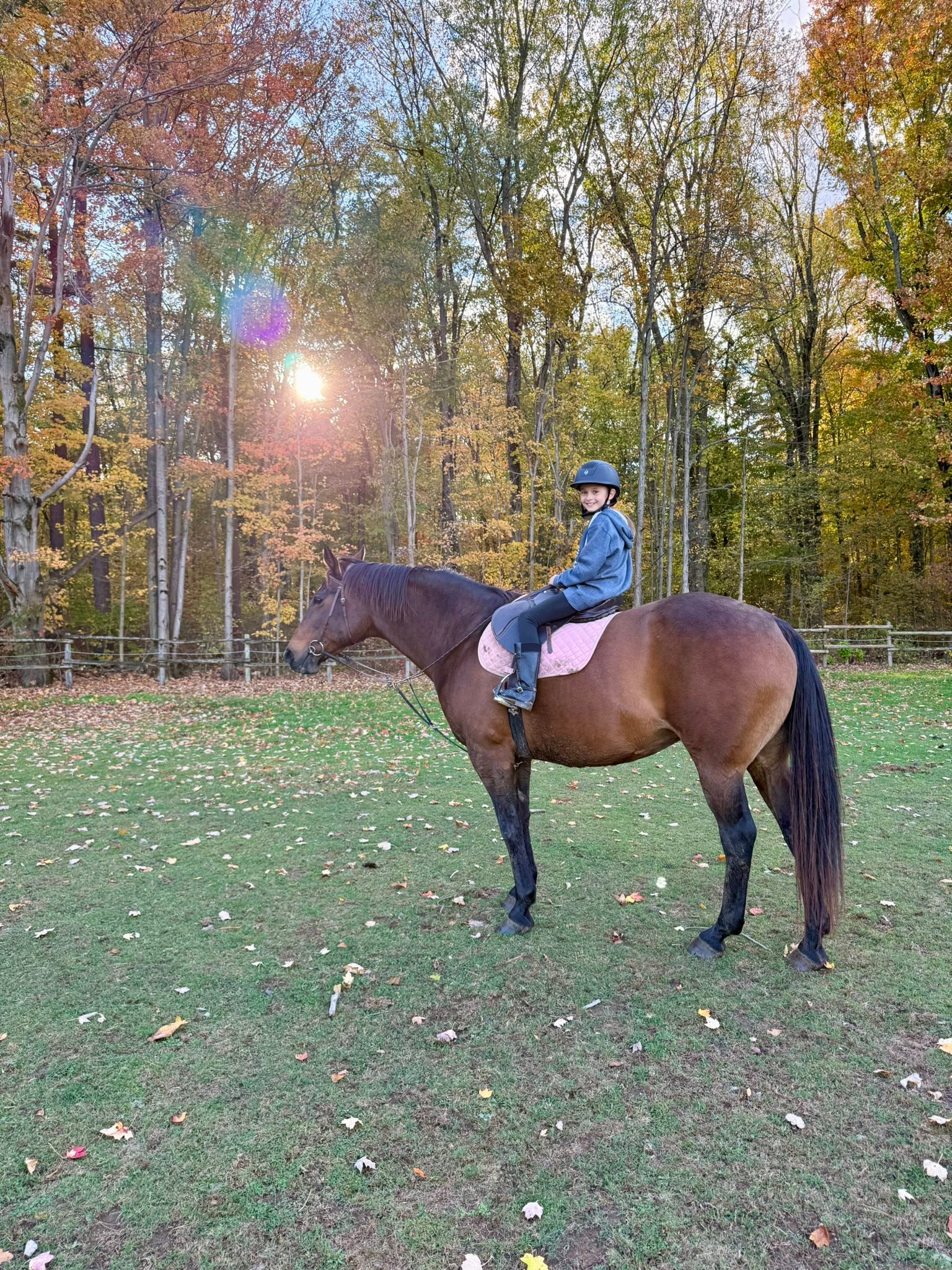 Carousel Stables added a new photo — at... - Carousel Stables
