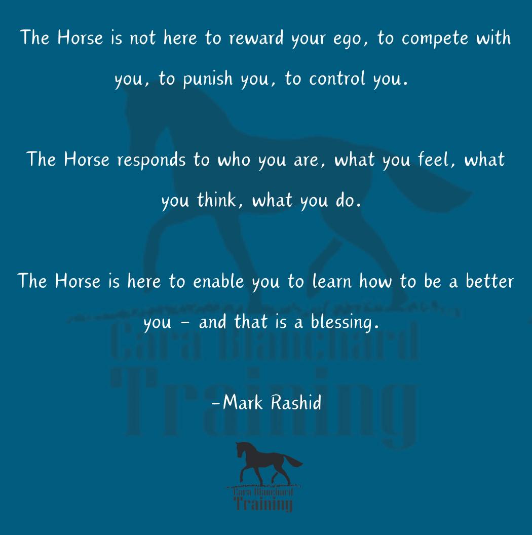 🦄 - Cara Blanchard Training, Inc. | Facebook