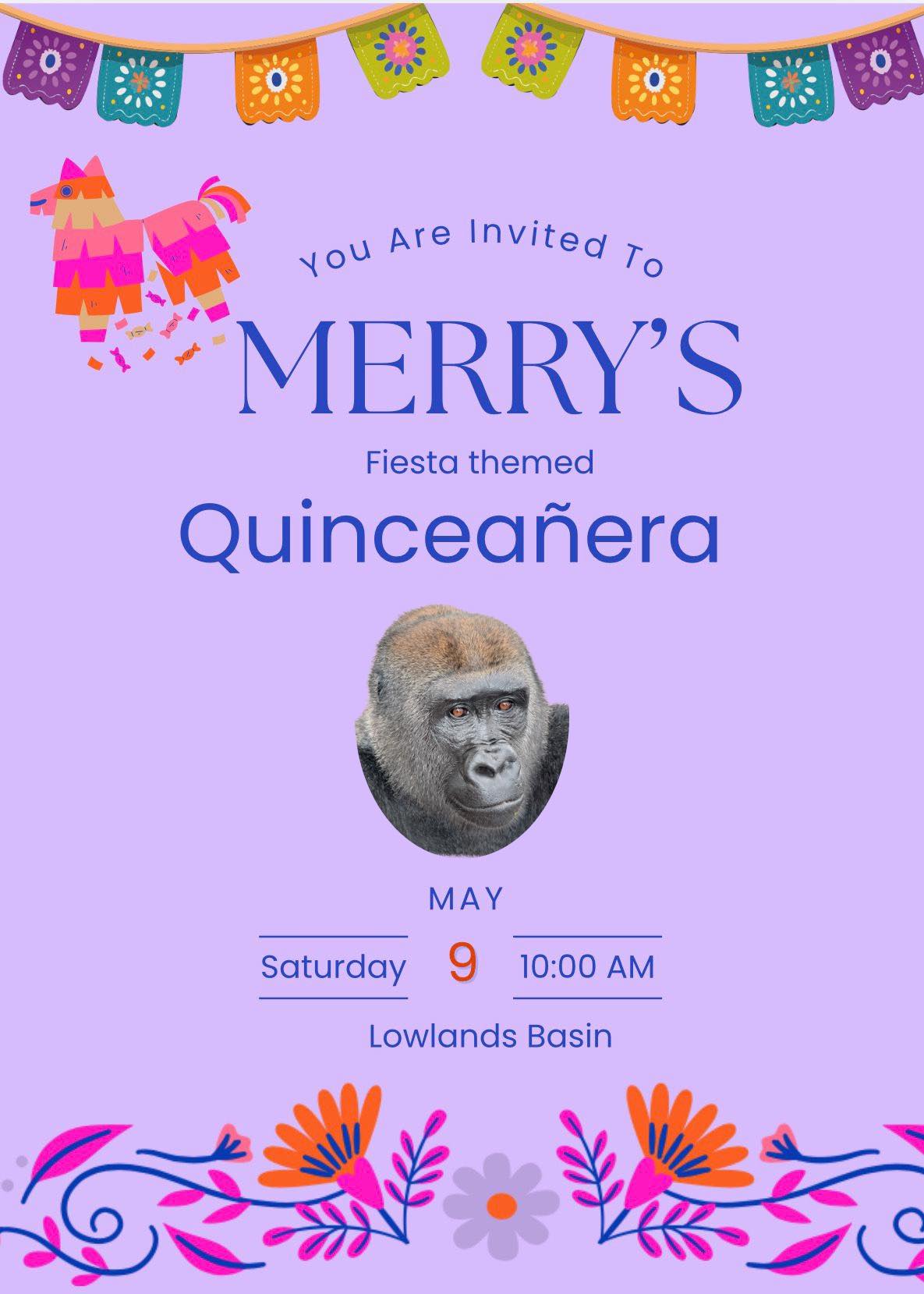 Join us tomorrow at 10 a.m. as we celebrate Merry the gorilla's