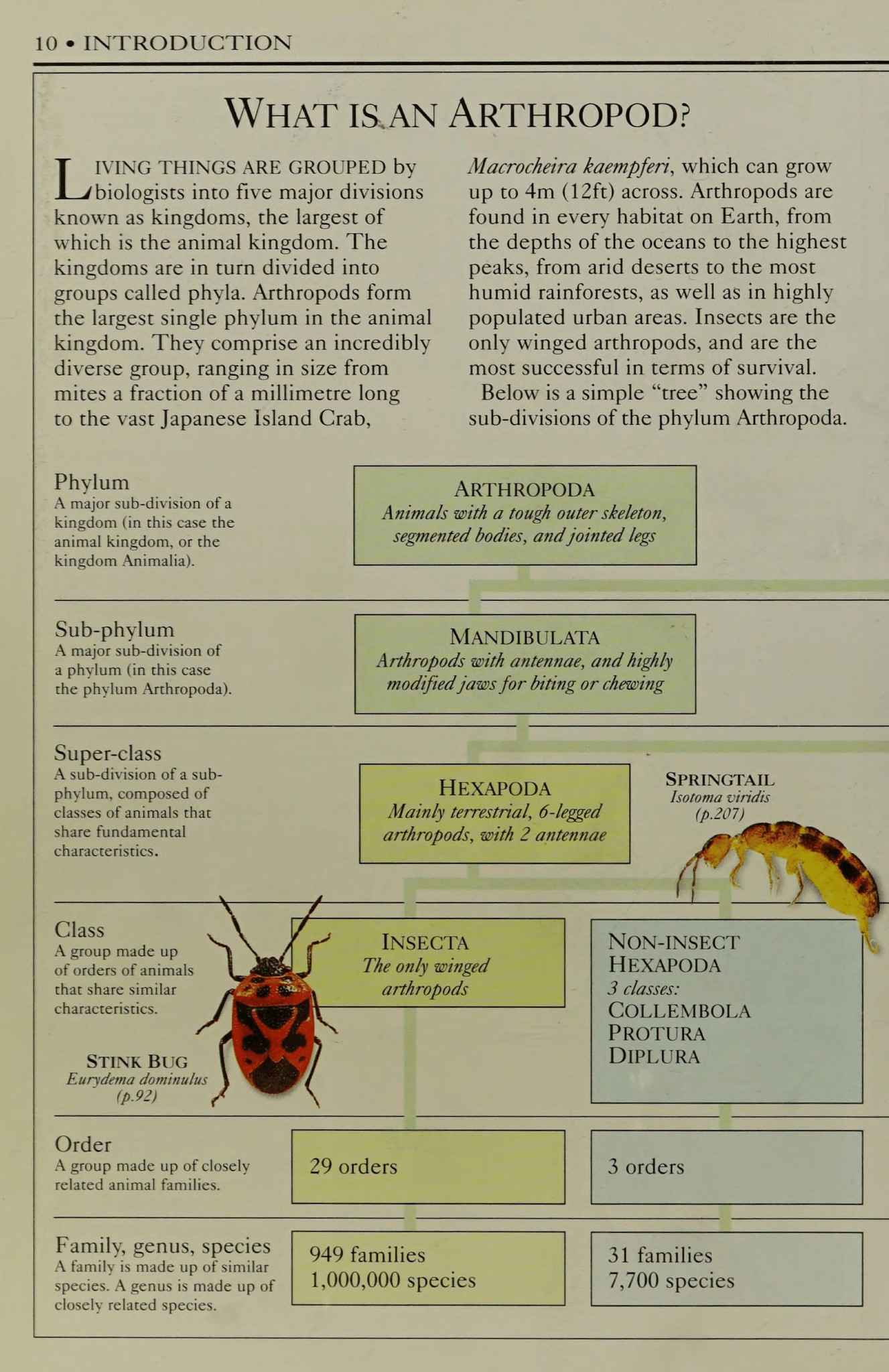 Biology | What is an Arthropod | Facebook