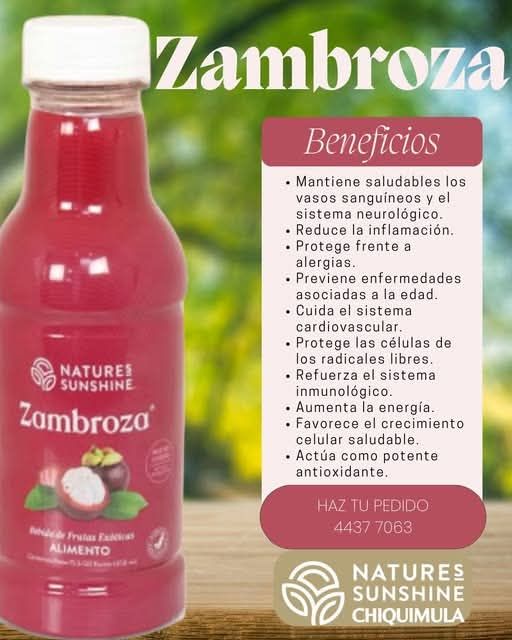 Latitud - ¿Conoces los beneficios de la ZAMBROZA?🌿🩷🩷🩷🍃 👇Aquí te ...
