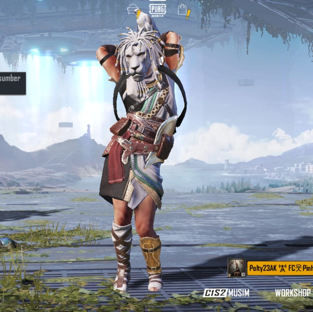 Edwin streamer