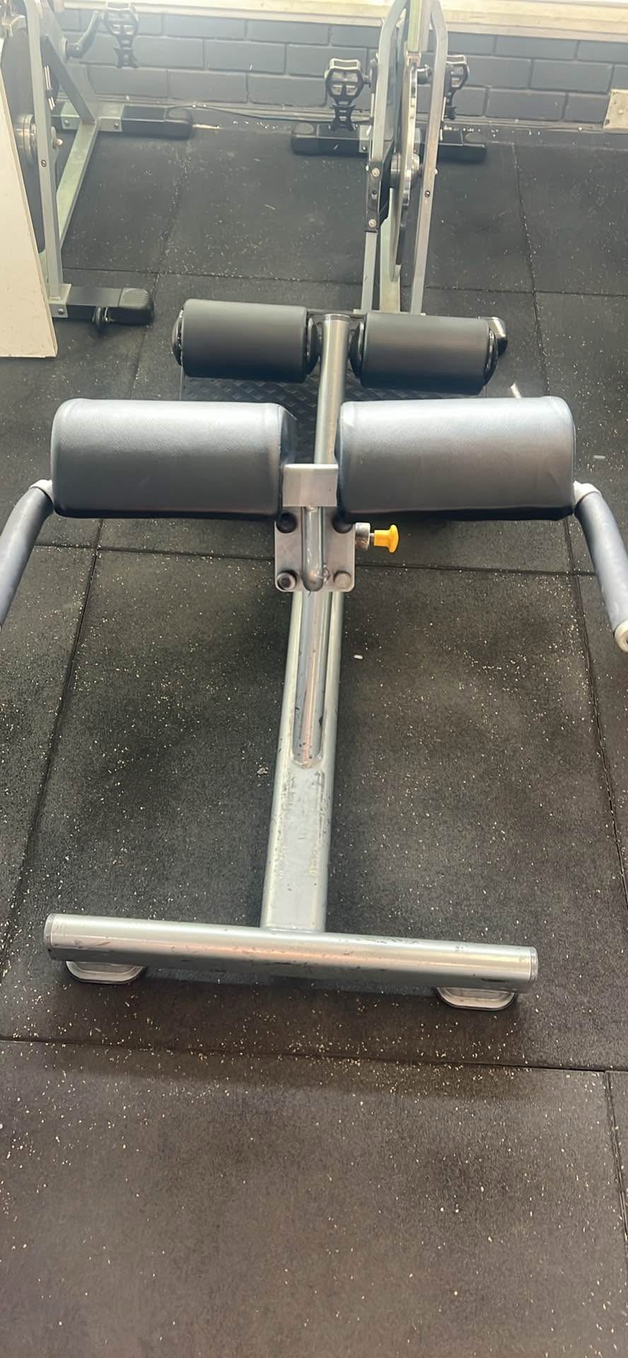 Back extension machine - Weight Lifting Machines & Racks - Sydney ...