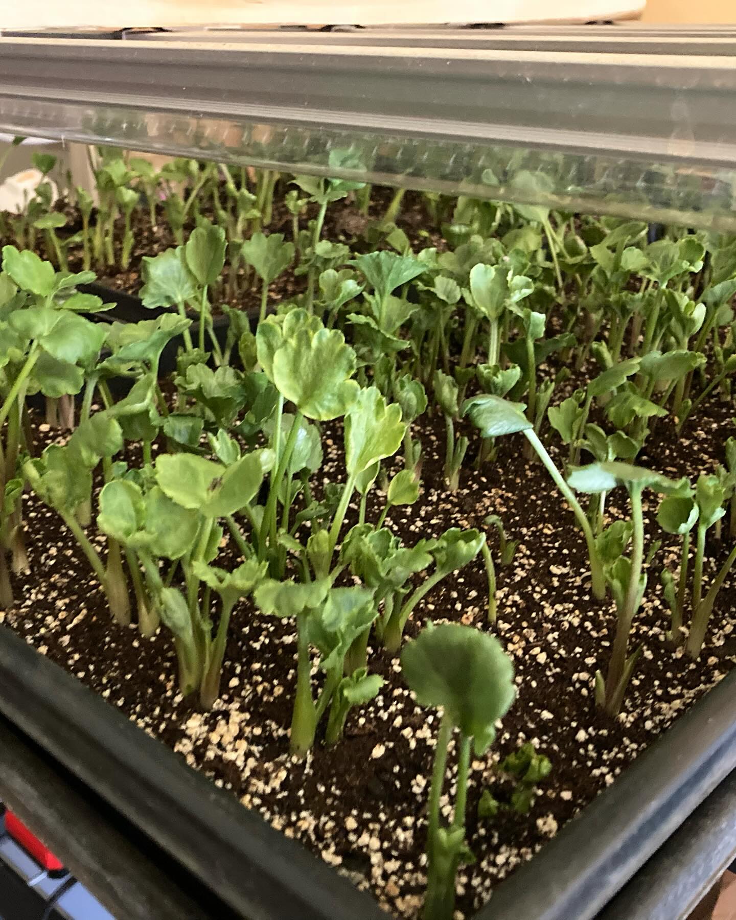 Native Roots Farm | Wanatah IN