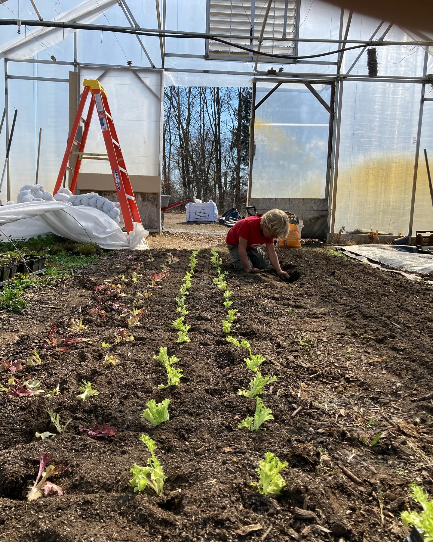 Native Roots Farm | Wanatah IN