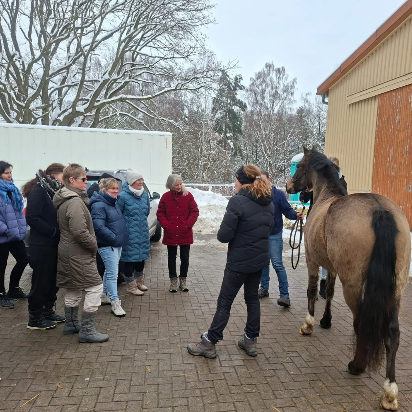 🐎📚... - Thüringer Reit- und Fahrverband (TRFV) | Facebook