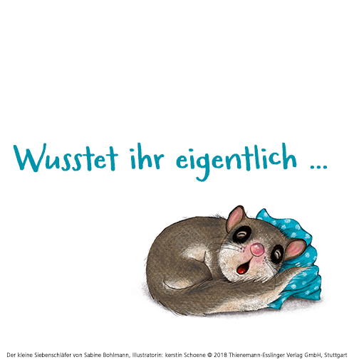 Dass Wir Siebenschlafer Keine Der Kleine Siebenschlafer