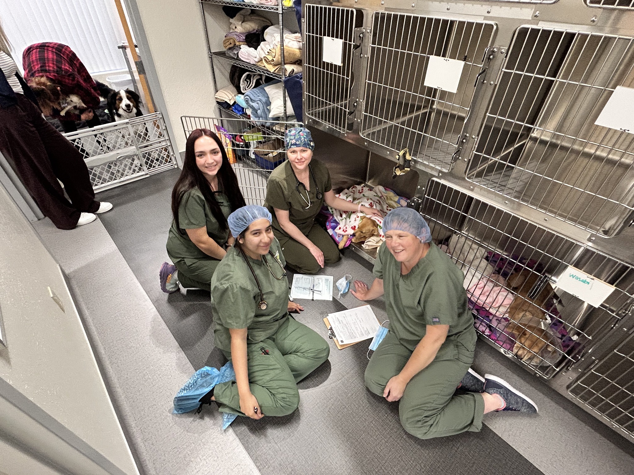 TMCC Veterinary Nursing and Assistant Programs | Reno NV