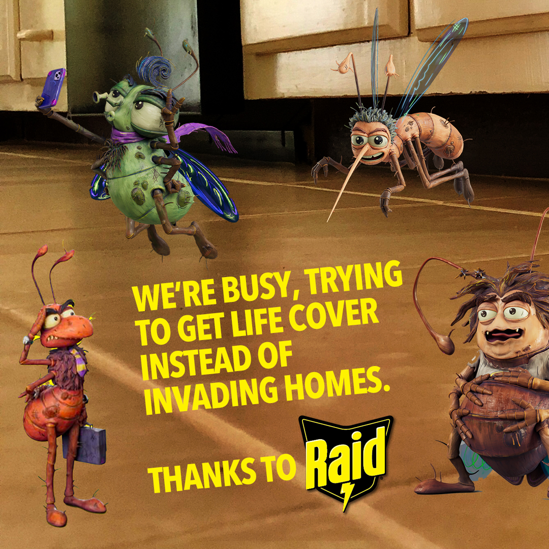 Raid