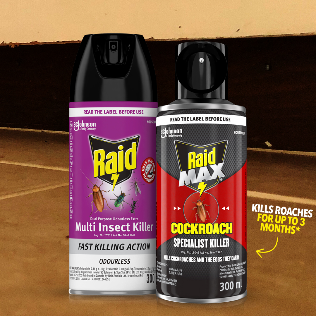 Raid