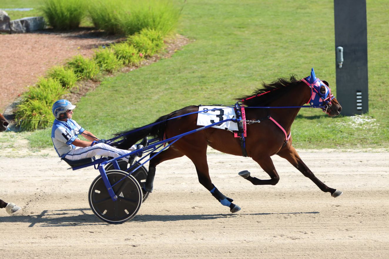 Hanover Raceway - Congratulations to Ashley and Ed Hensley... | Facebook