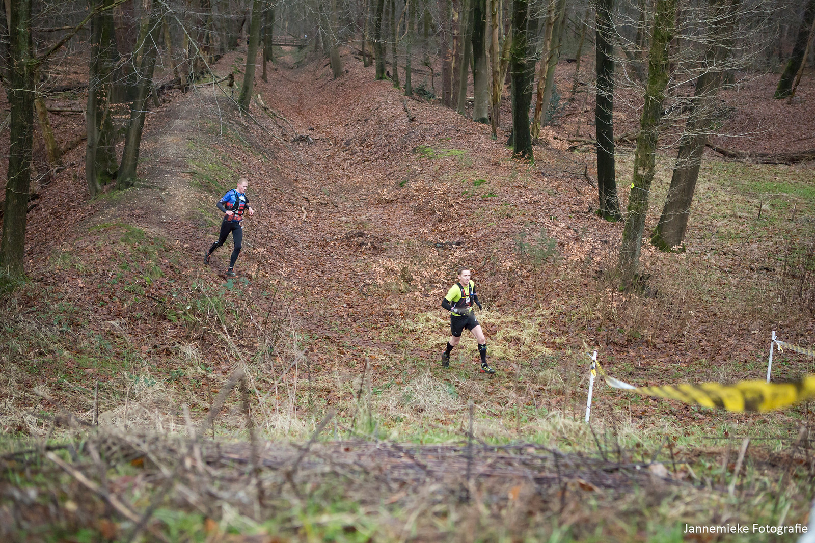 RUN Forest RUN - RUN Forest RUN added a new photo.