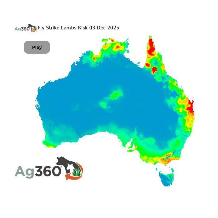 🪰It's Fly Time 🪰 Blowfly activity... - AWI Extension NSW | Facebook
