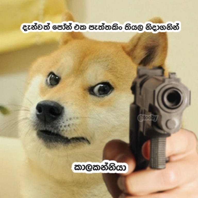Tooby-ටූබි | Miami FL