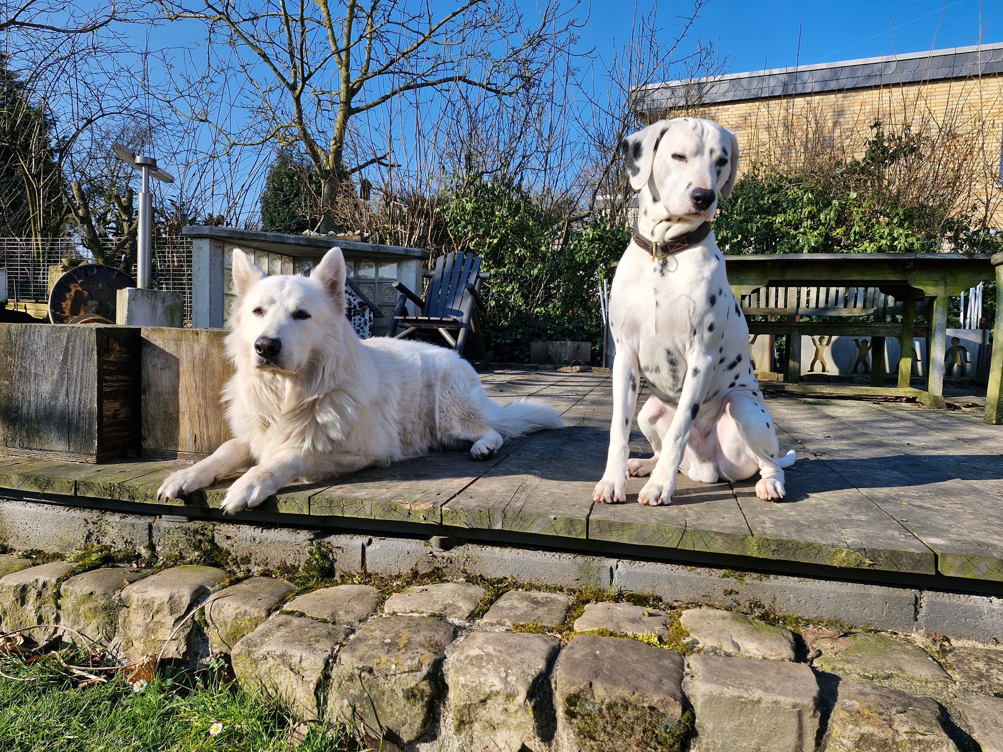 Ranon und Cajus - Ranon und Cajus added a new photo.