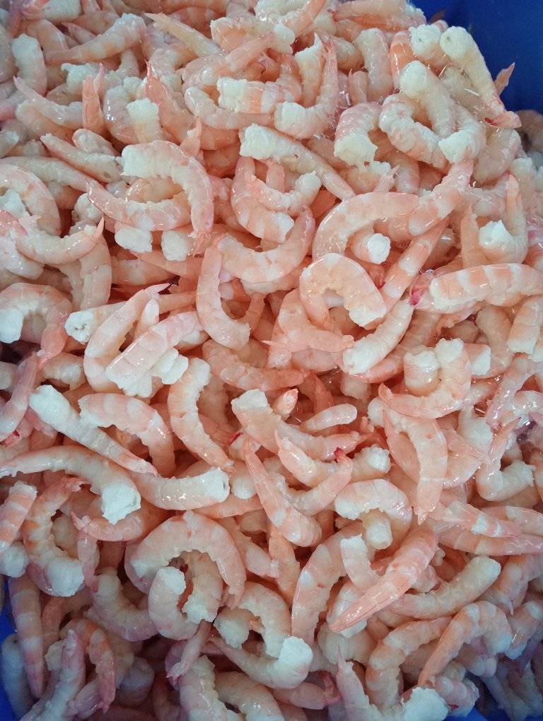 Mariscos Frescos Lino