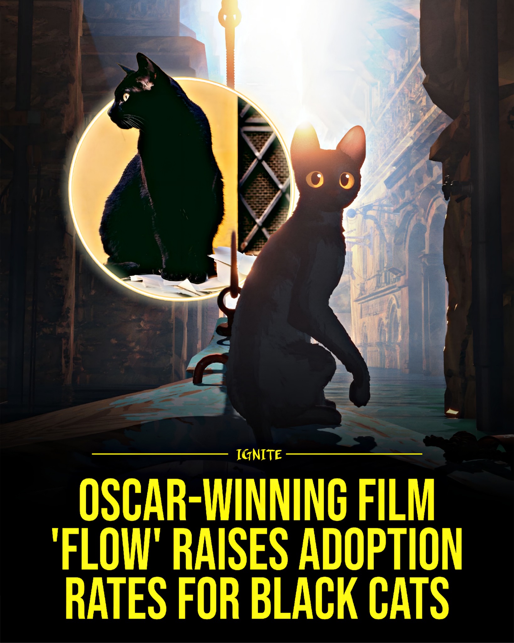 An animated movie is changing real... - Ignite your mind | Facebook