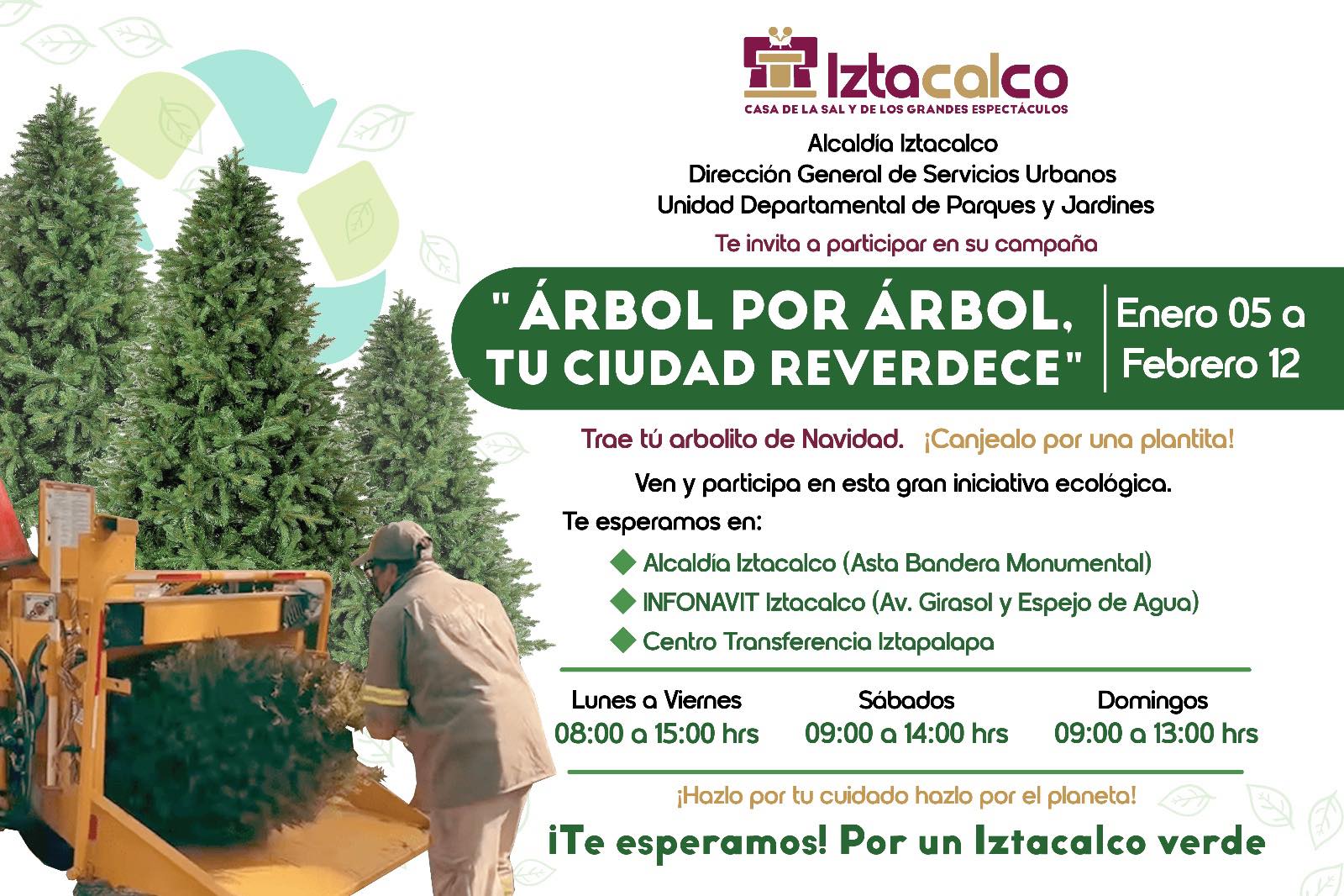 Alcaldía - Árbol por árbol, Iztacalco reverdece 🌳 Trae tu arbolito de ...
