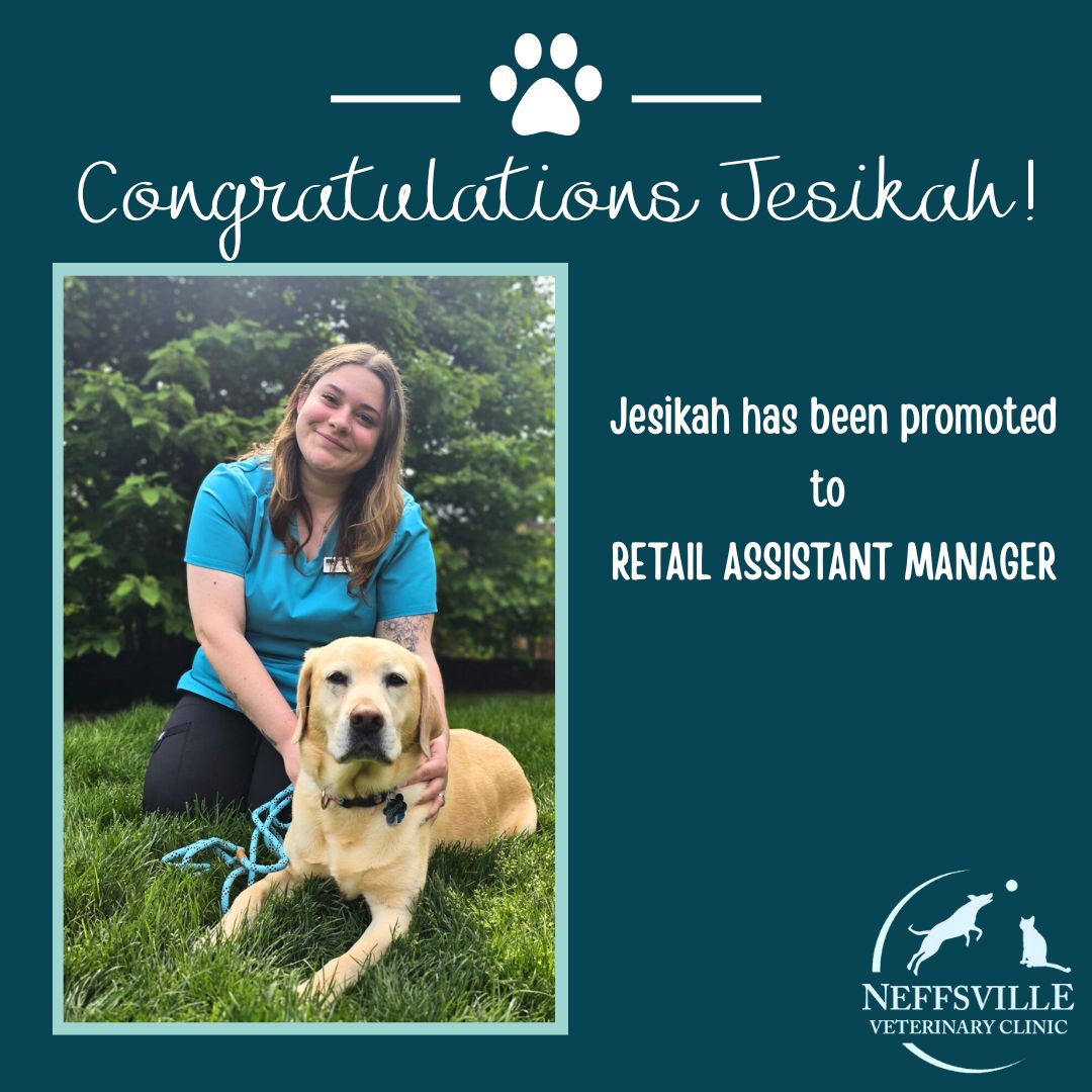 Neffsville - We are excited to announce the promotion of Jesikah to ...
