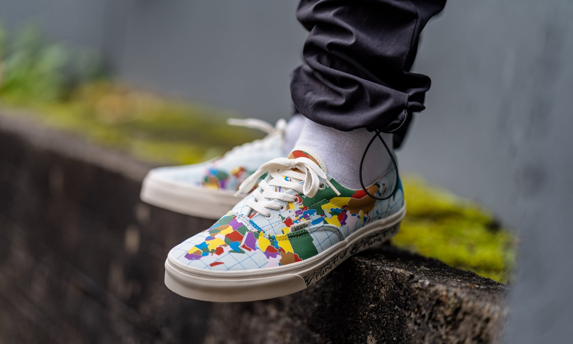 The Save Our Planet X Vans Era combines the Vans classic low top 