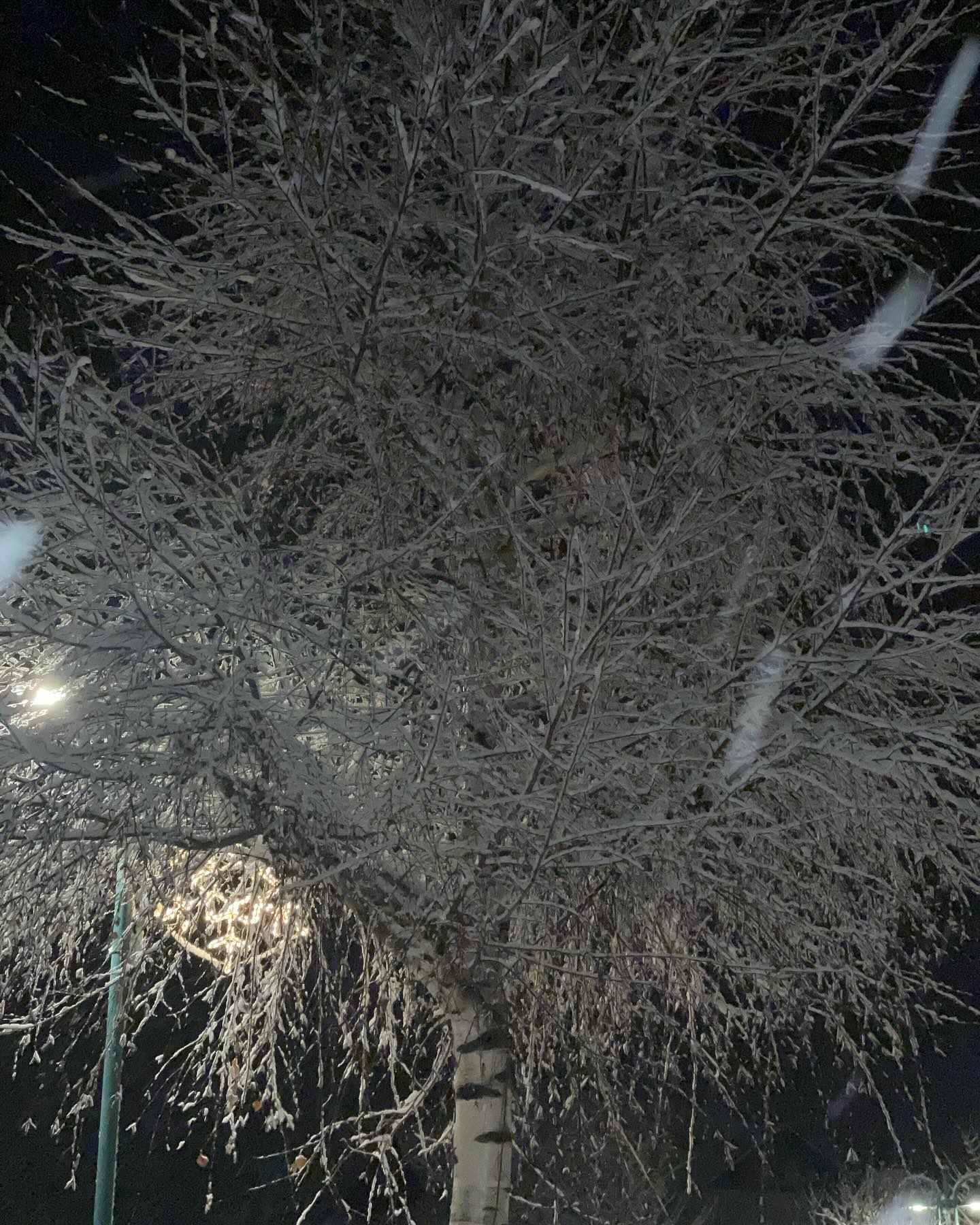 Hotel - ️ Silent nights and snowfall magic… ️ There’s something special ...