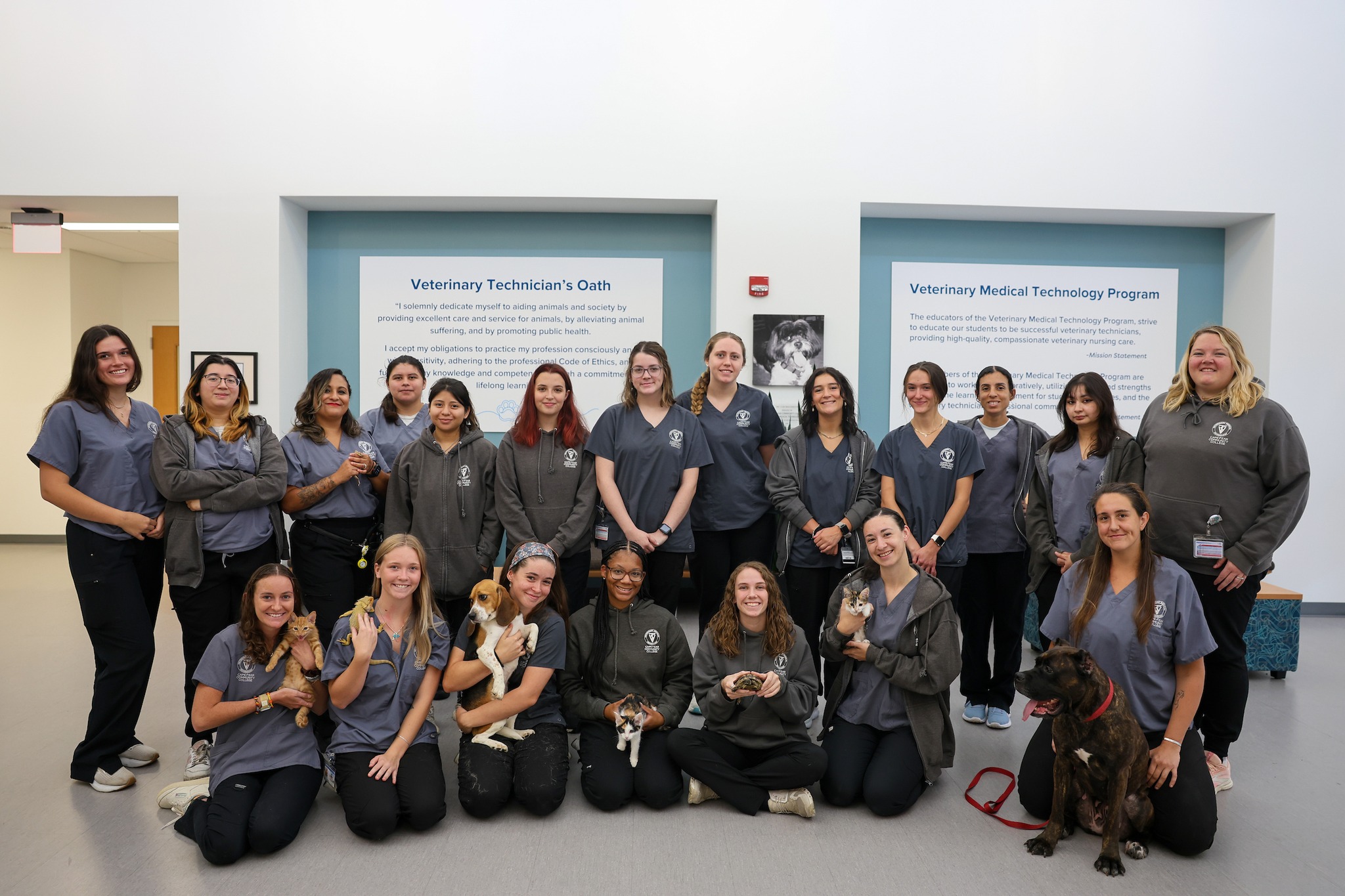 Veterinary Medical Technology Information Session