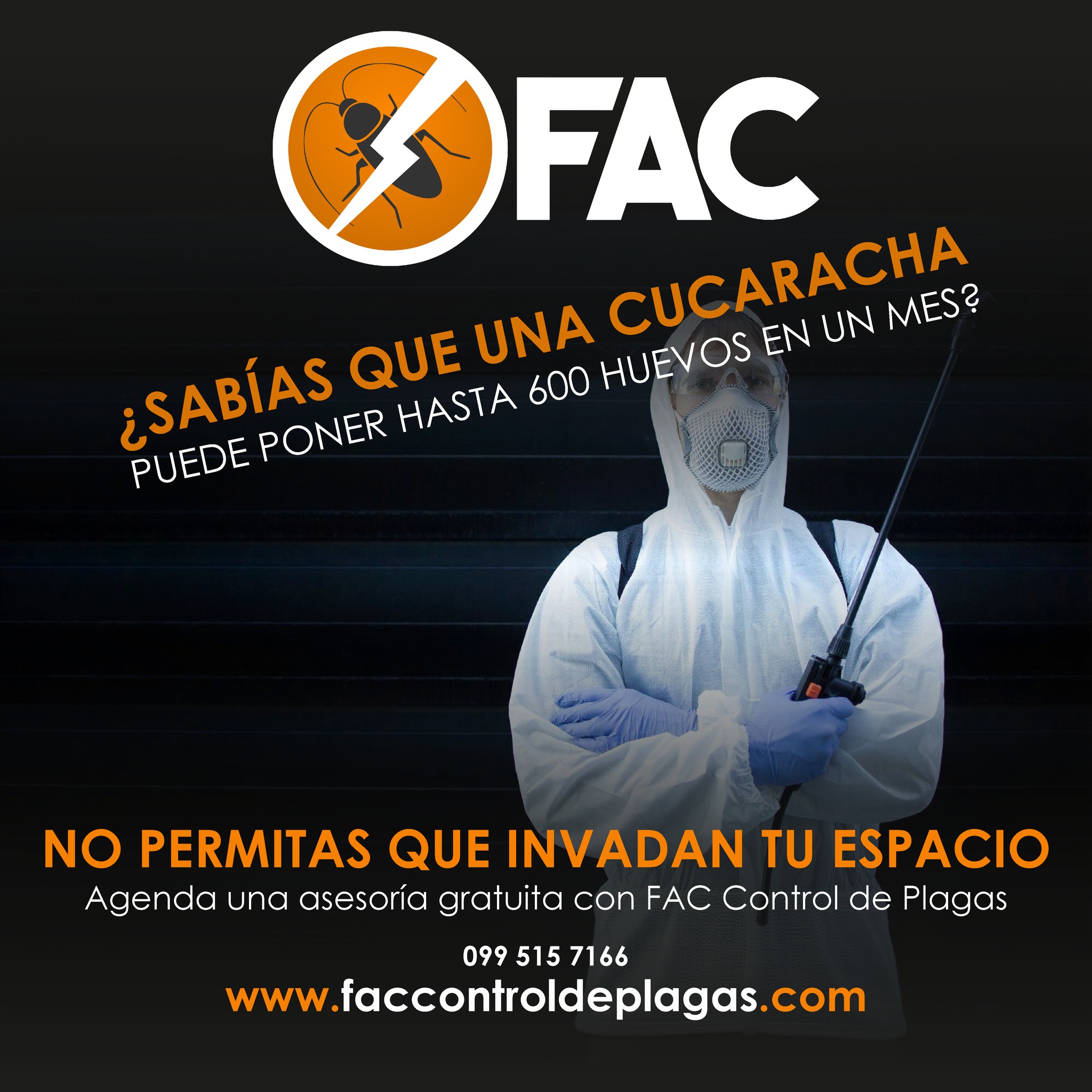 🪳 ¡Un dato que da escalofríos! 🐜... - FAC control de plagas | Facebook