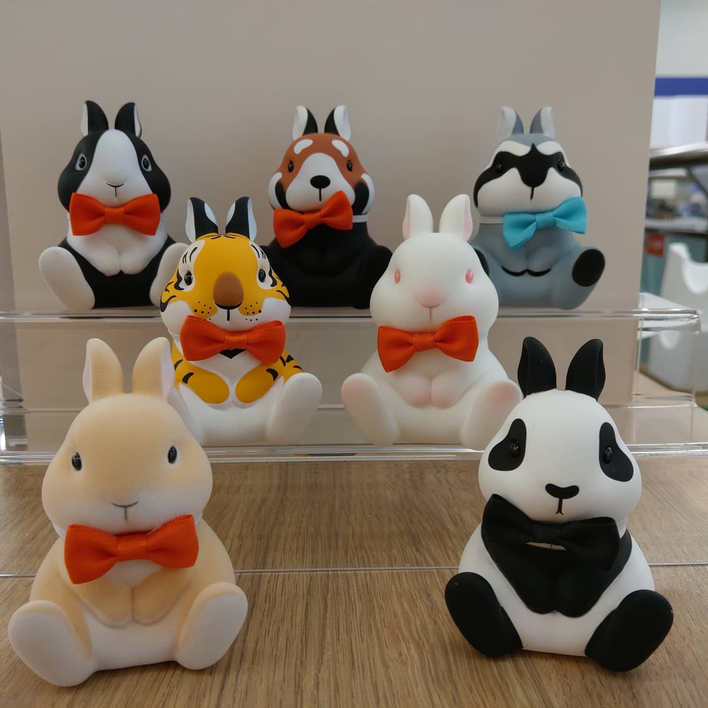 一禾玩具one box - 美好的小週末 不二馬大叔的植絨兔子、端坐貓 🐰🐱 #一禾玩具 #onebox...