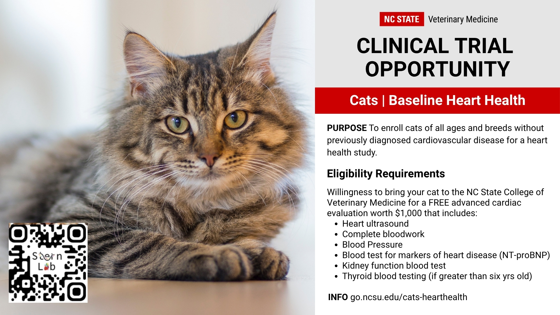 l carnitine for cats hyperthyroid Animal lovers, this study is of every age and breed! The Stern Lab is looking for cats without previously diagnosed cardiovascular disease to join a heart health study. Participating cats Can Peptide Therapy Help Size:10X1 ml Store_default