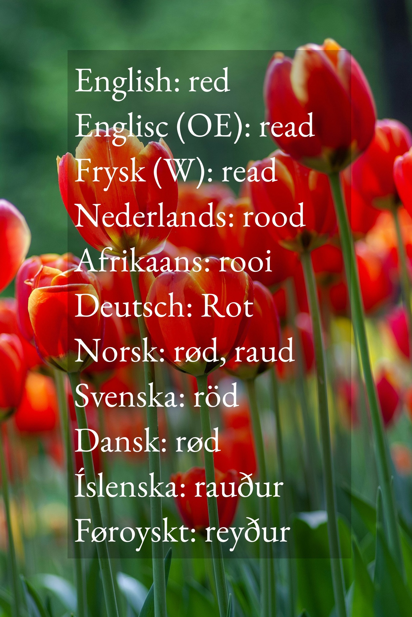 New English - A list of hues from Old English roots, which... | Facebook