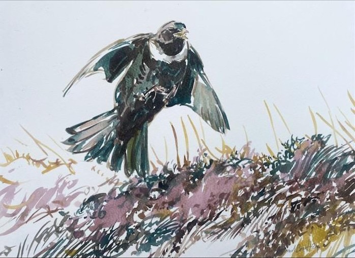 Darren Rees Artist