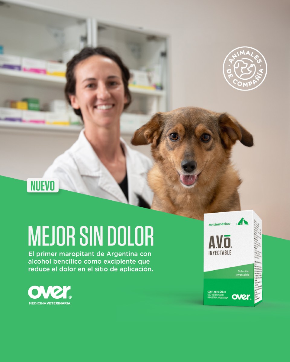 Mi - 🐾 📢 A.V.O inyectable - Antiemético de OVER 📢 🐾 💉 “Mejor sin dolor ...