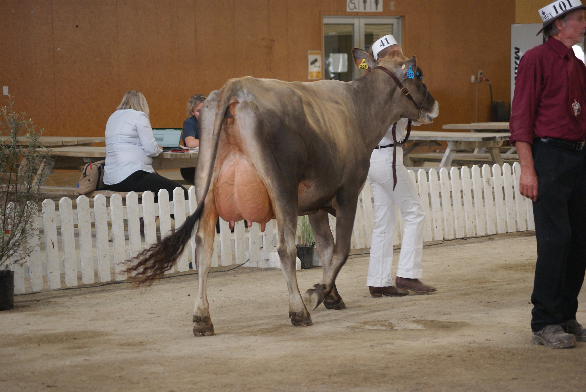 Brown - 🎉 Get Ready for the 2026 NZ Dairy Event! 🐄 We’re excited to ...
