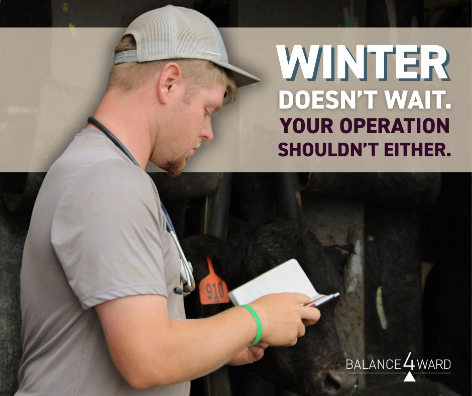 Balance4ward - Winter has a way of testing every corner of your ...