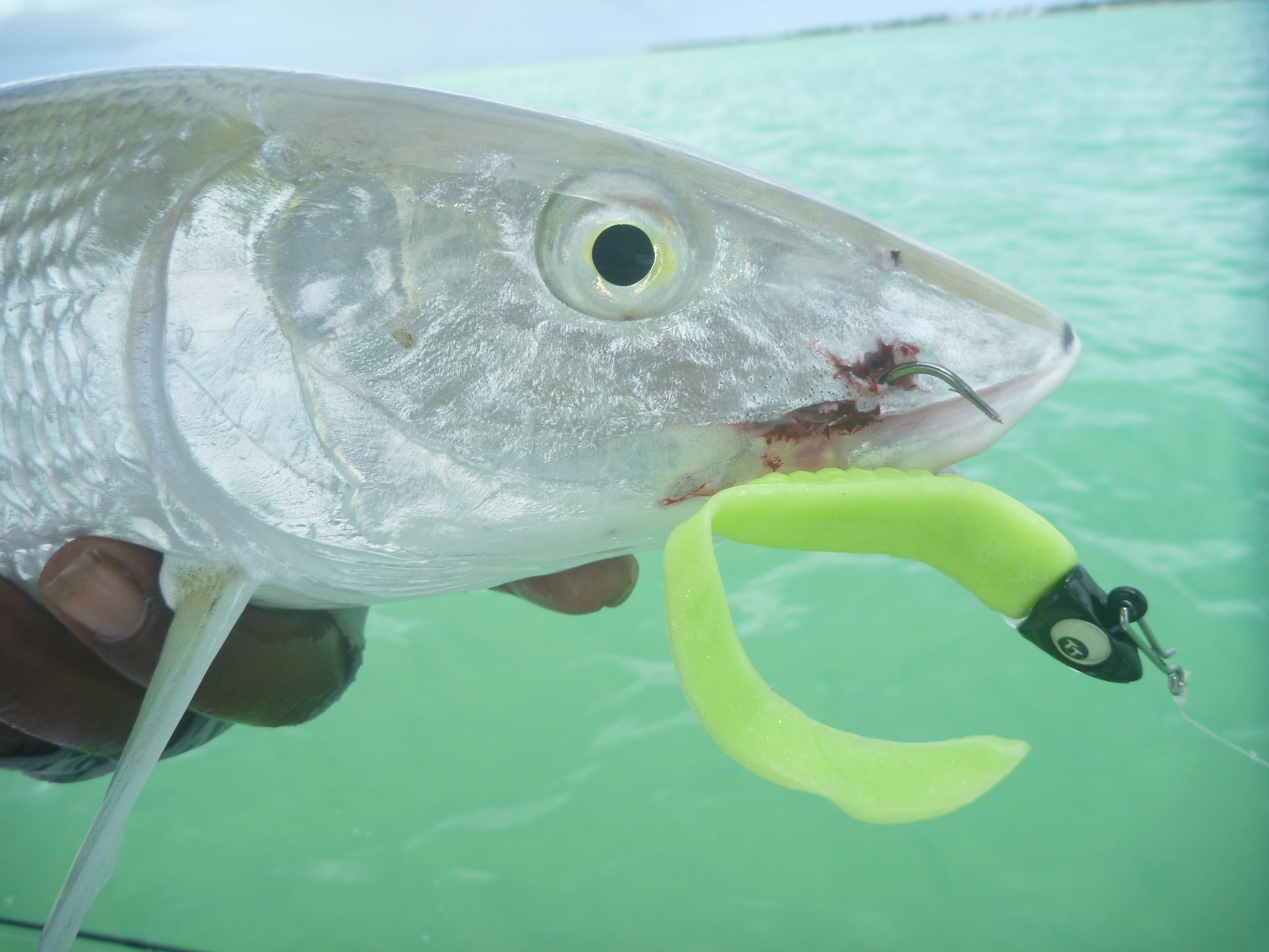 aitutaki fish hooks Maruto Aji Hook — HiFishGear Prepare to rig with confidence using the Owner Ringed Super Mutu Circle Hooks aitutaki fish hooks BKK Ringed