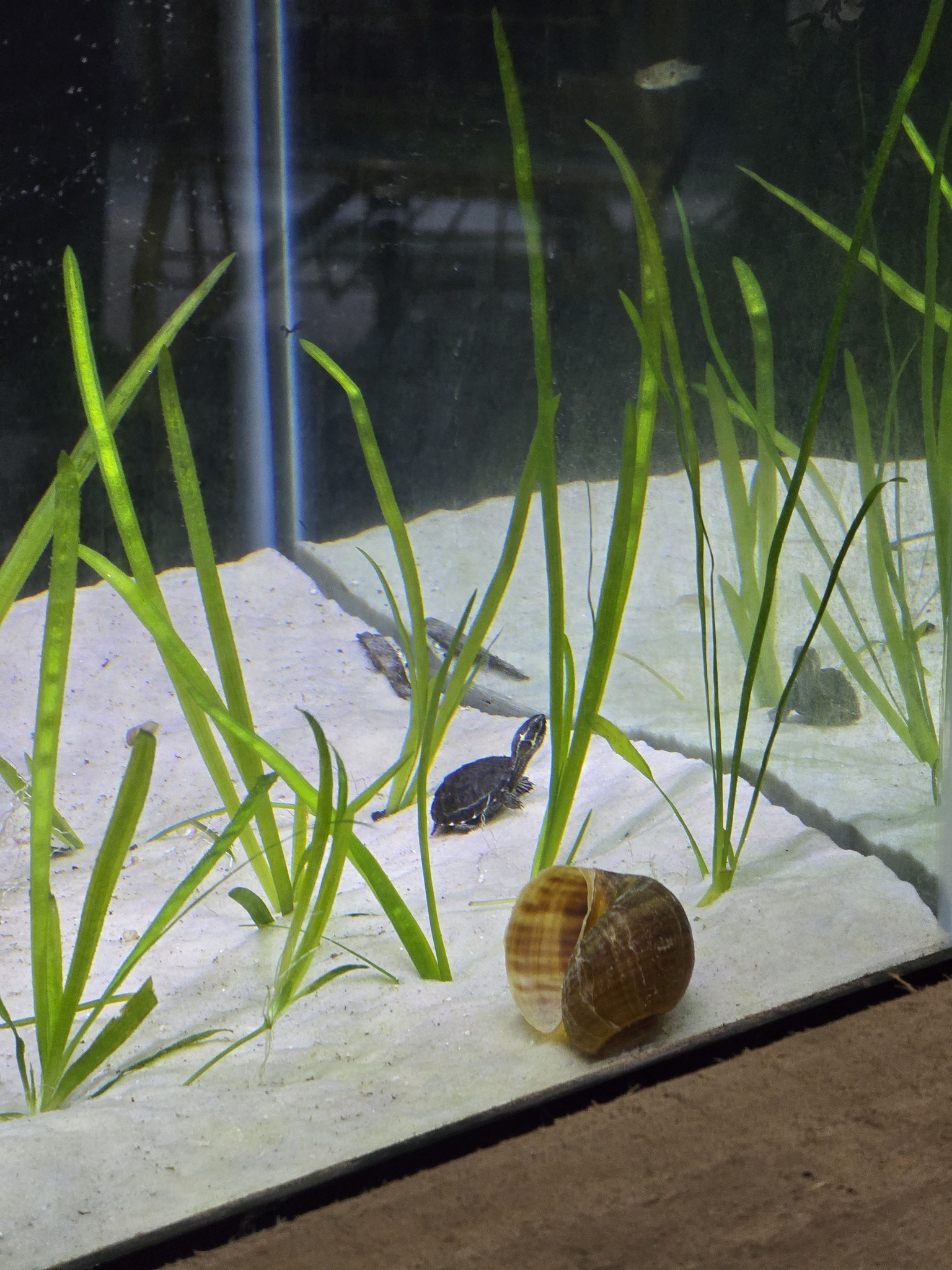 SeaDaddys - 🌧️ Rainy days = the perfect excuse for an underwater ...