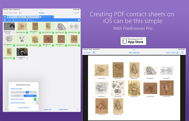 FileBrowser Professional