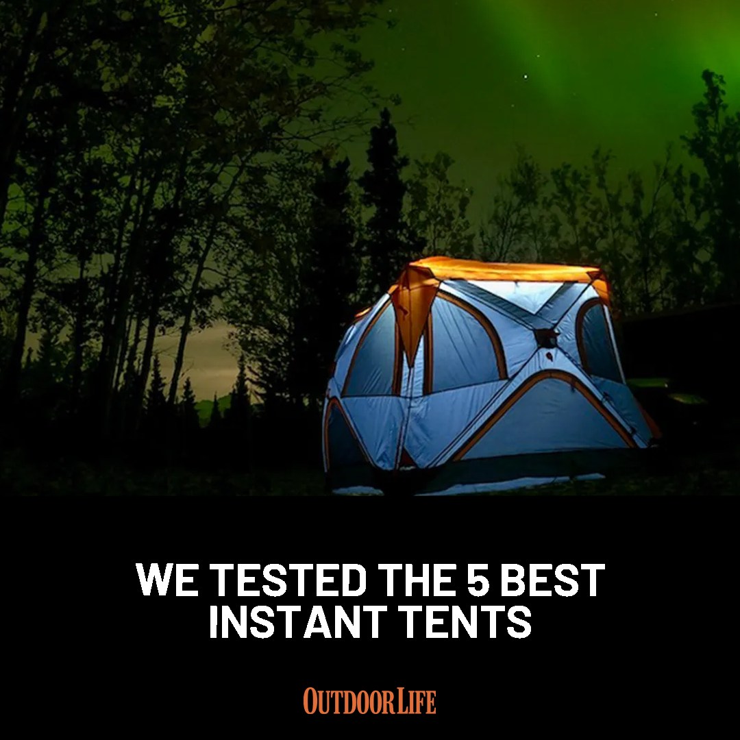 lock tent Land Ivory Dreipunkthaken 35x60mm LYSEL LYSEL imperméable 1500-2000 mm Ausführung:G) 12V-Motor-Kit Compact für F65L Polar White RTT’s are stolen from