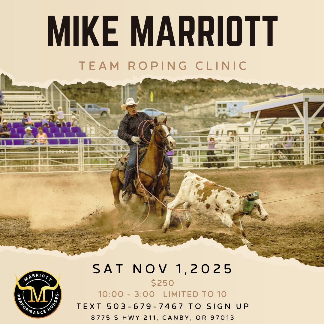 Marriott Performance Horses... - Marriott Performance Horses