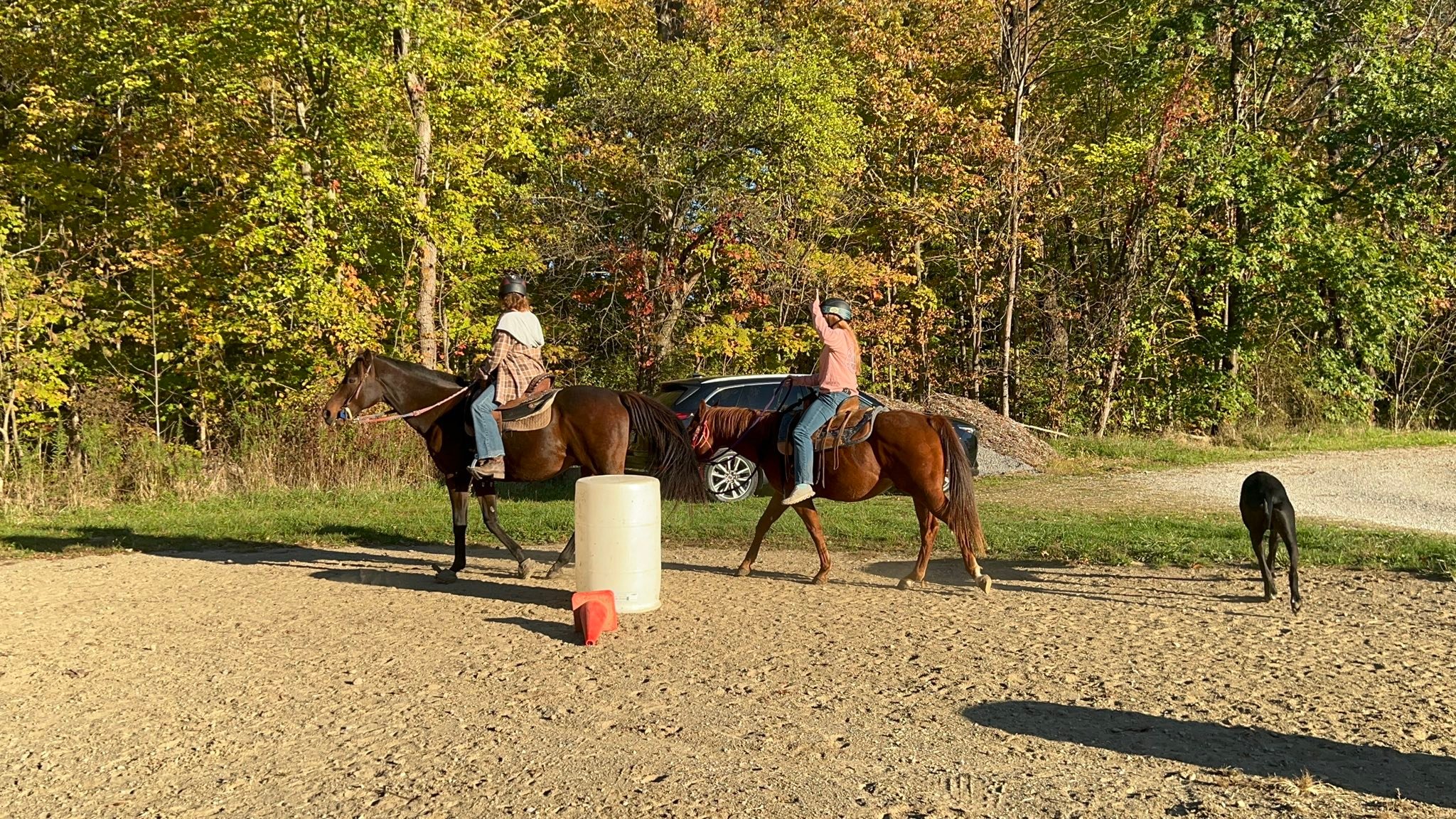 AB Ranch | Rootstown OH