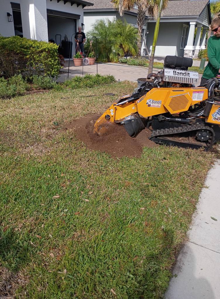 Lee Parker Stump Grinding & tree service LLC | Parrish FL