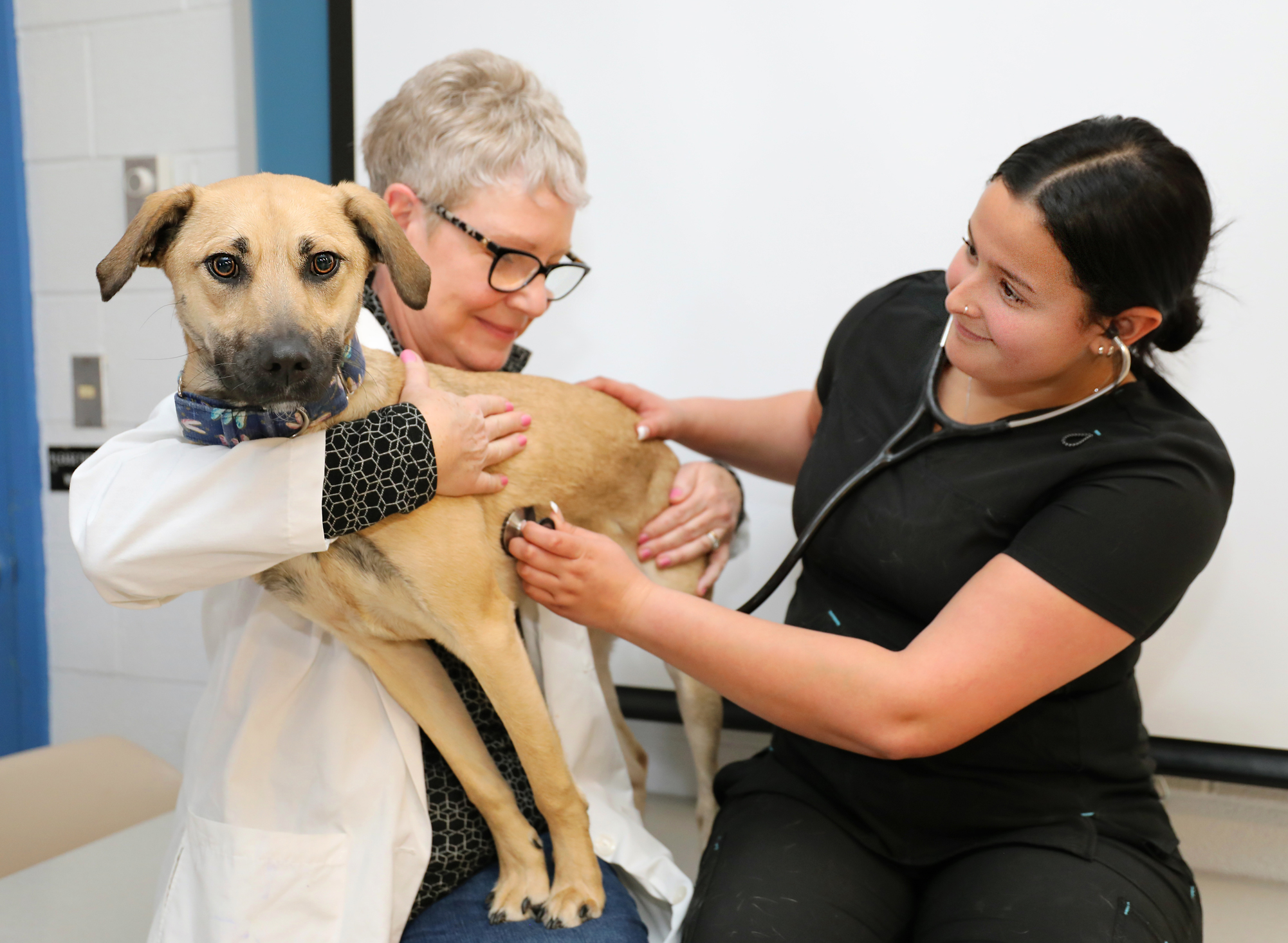 Vet Tech Info Session