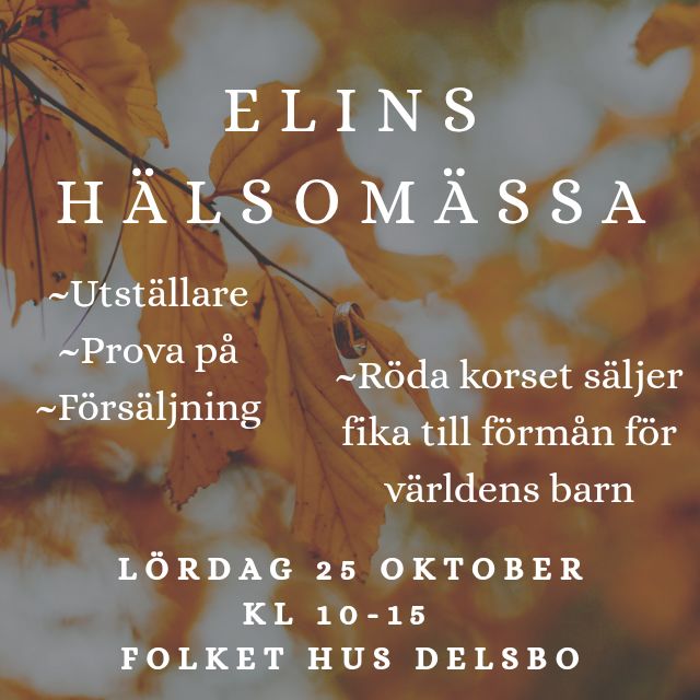 delsbo-folkets-hus-delsbo