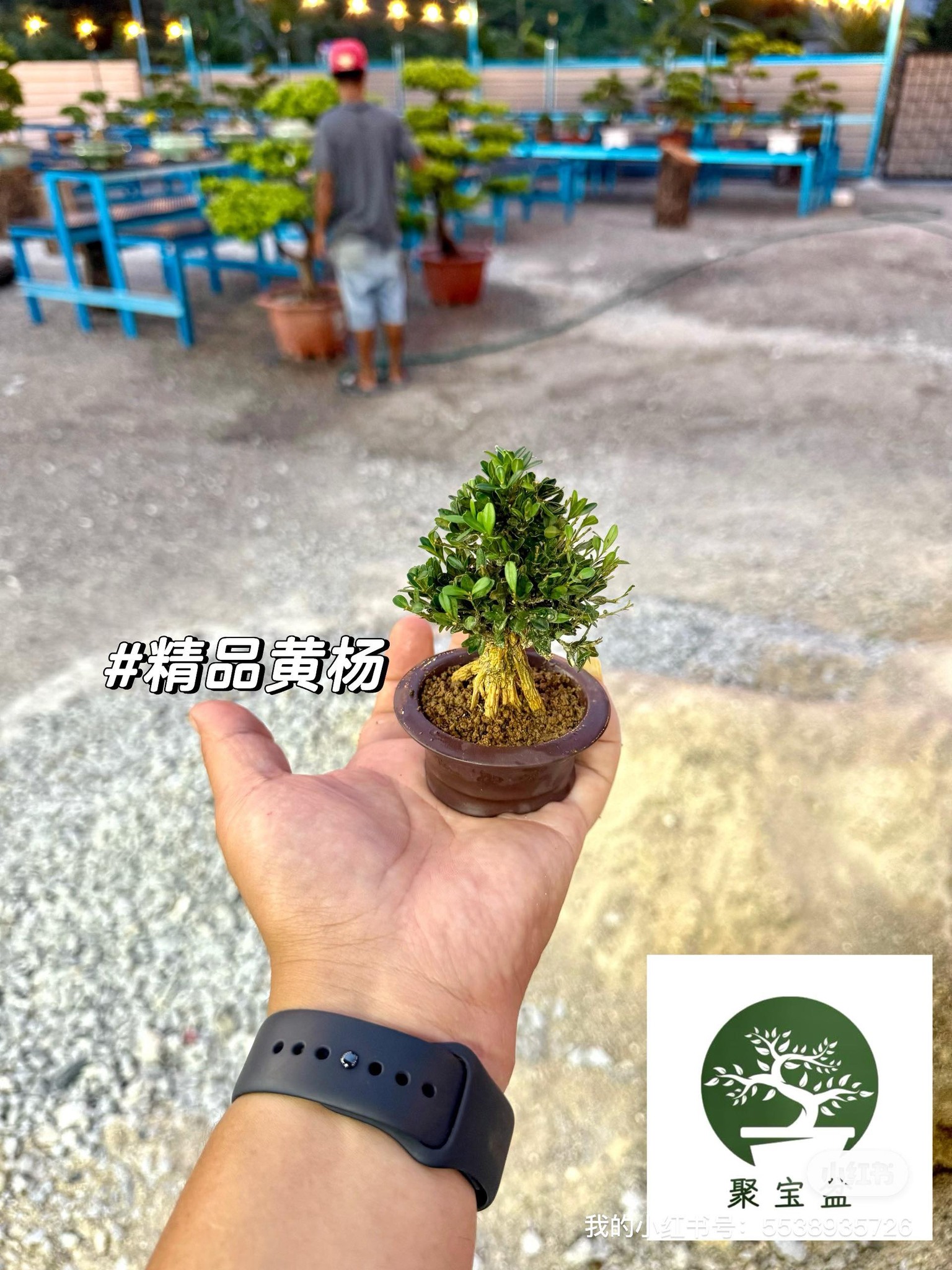 聚宝盆 聚宝盆(@jubaopenjb) • Facebook