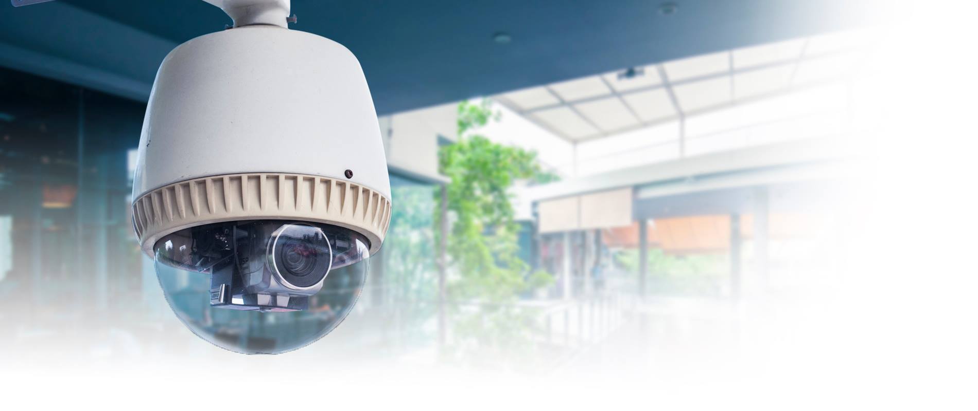 Integrated Protection Systems, Inc. (IPS)