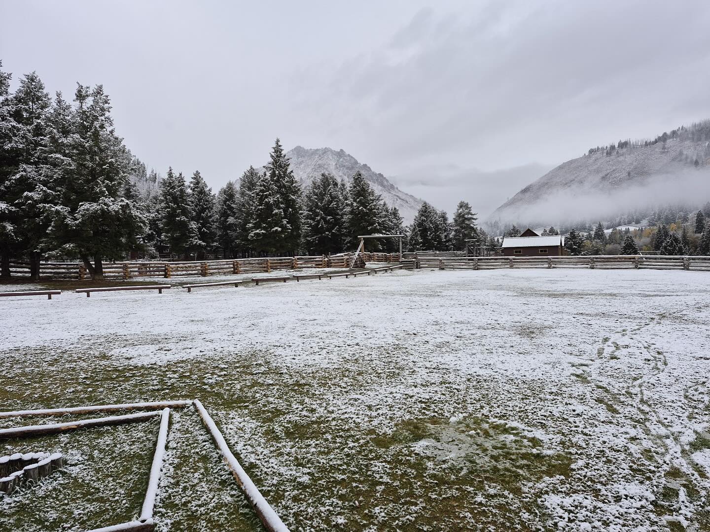 Diamond D Ranch