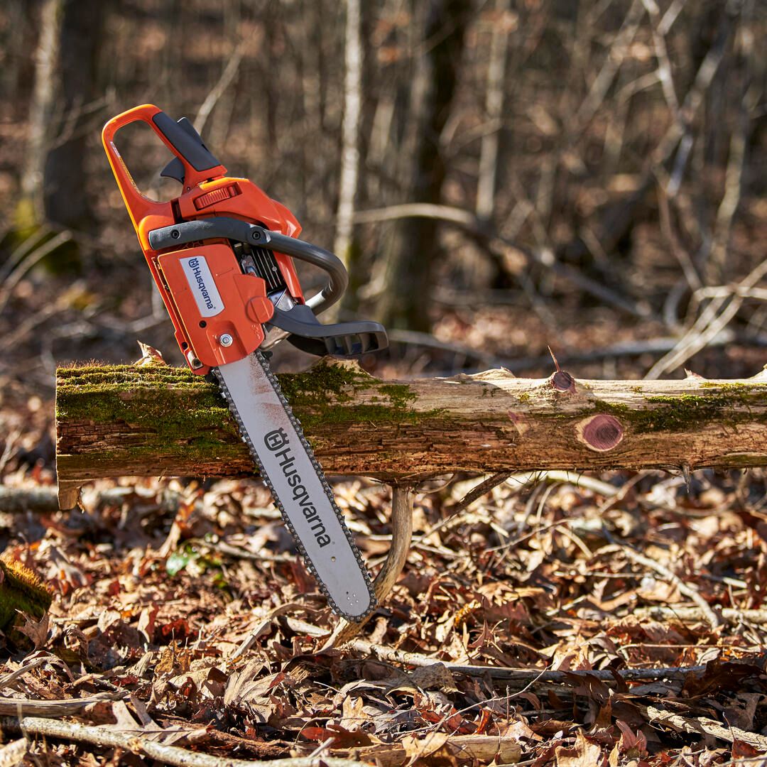 Charles - Whether you're chopping down trees or a carving creative ...