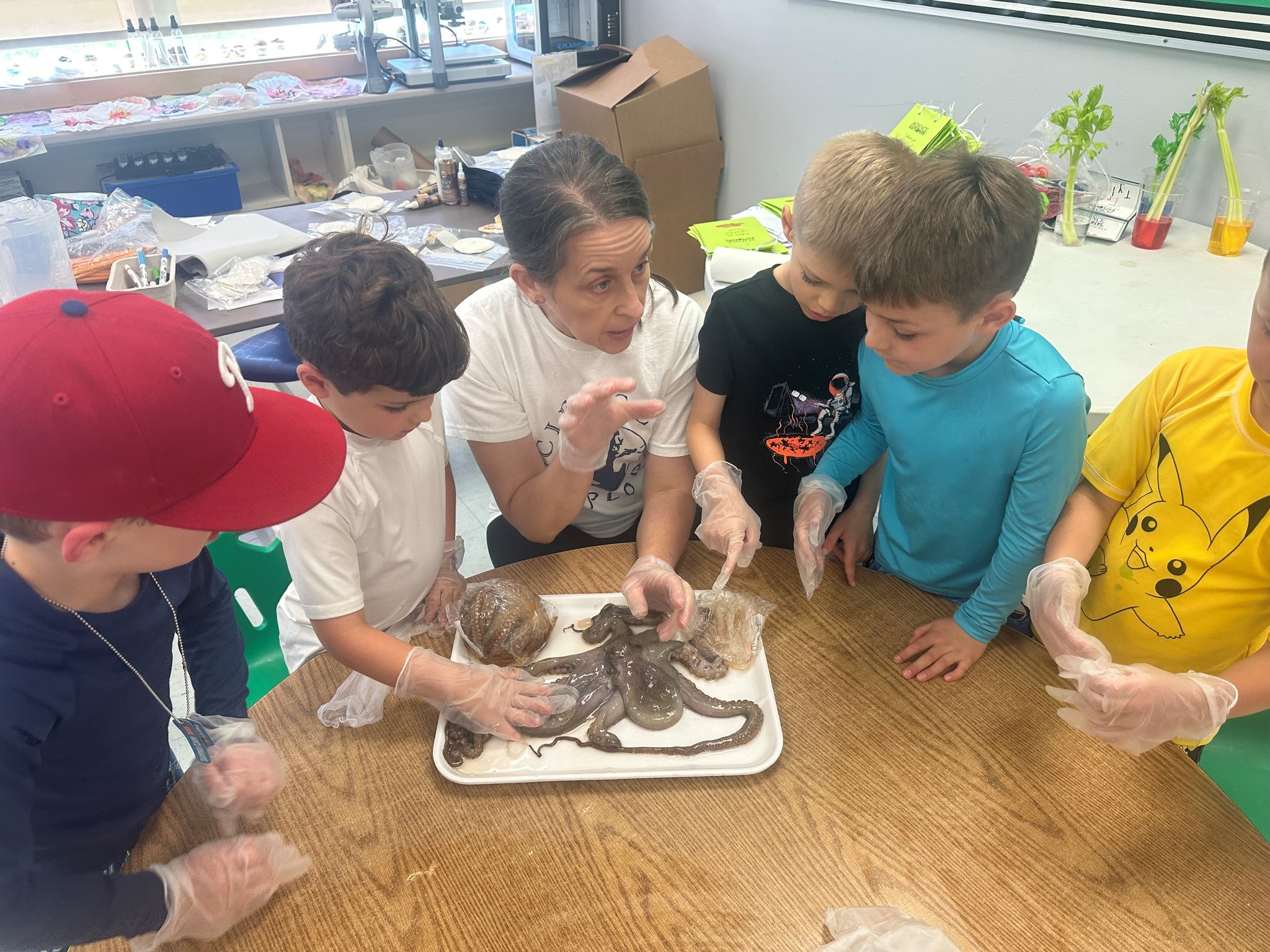 Science Explorers