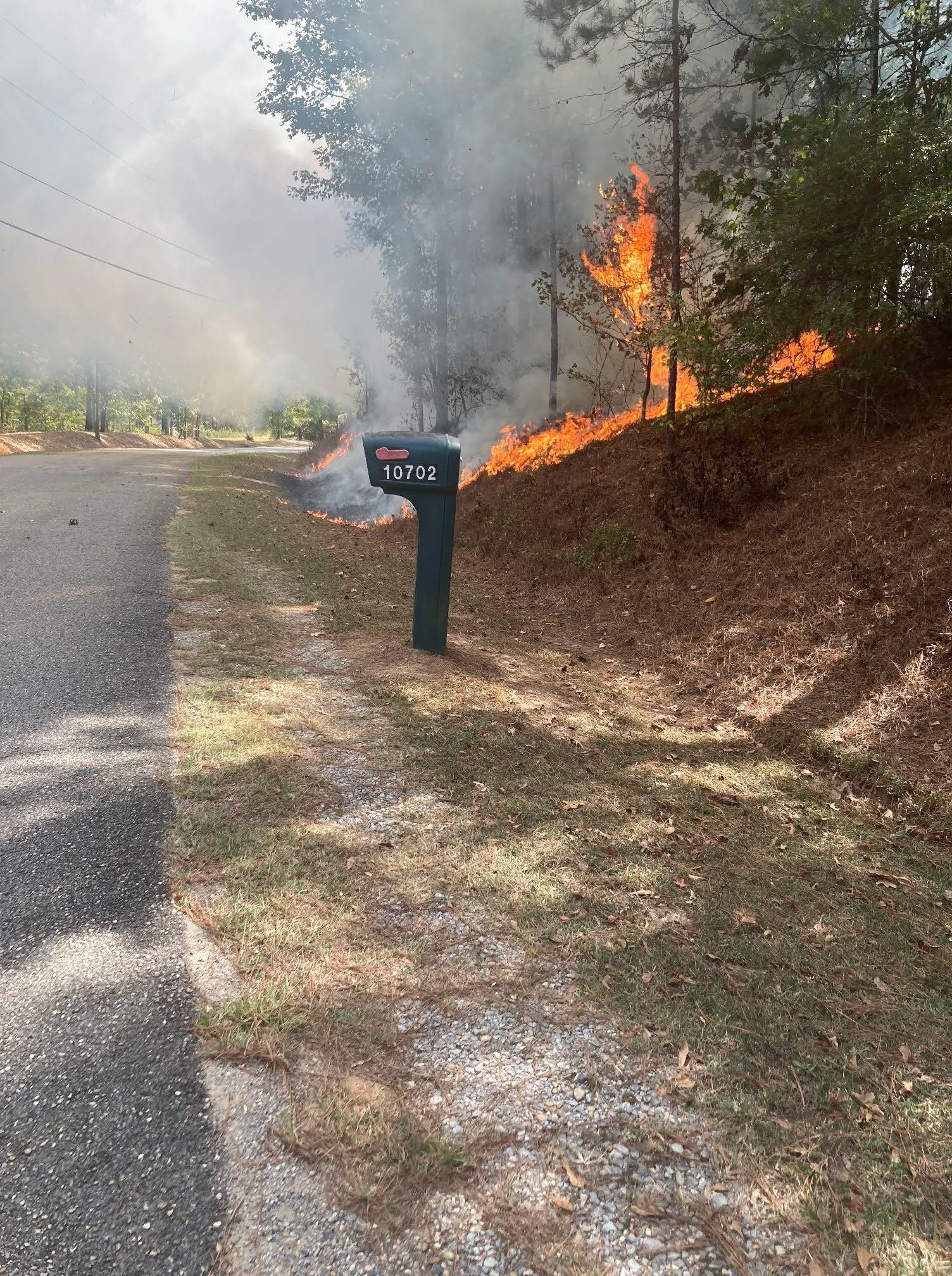Scotty - VFD are battling two brush fires in Lauderdale County. 6600 ...
